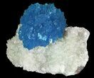 Vibrant Blue Cavansite Cluster on Stilbite - India #64796-1